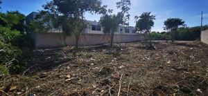 Terreno en Dzitya de 1,000 m2