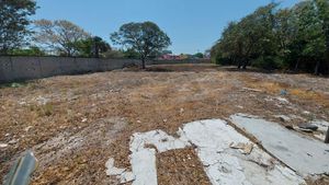 TERRENO EN VENTA EN CIUDAD DEL CARMEN