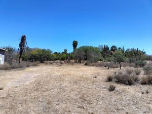 Terreno en Venta en Calafia La Paz