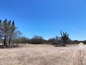 Terreno en Venta en Calafia La Paz