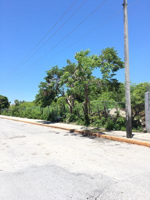 Terreno en venta en avenida nardos en Ciudad del Carmen