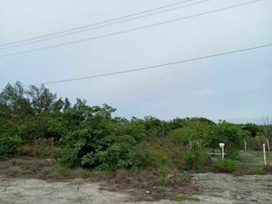 TERRENO EN VENTA EN RANCHO LAS GAVIOTAS EN CD. DEL CARMEN