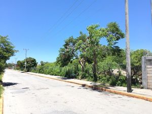 Terreno en venta en avenida nardos en Ciudad del Carmen