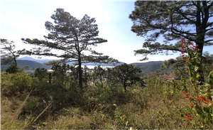 Terreno Ejidal, con vista al lago