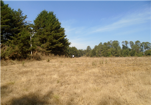 Terreno en venta en Valle de Bravo