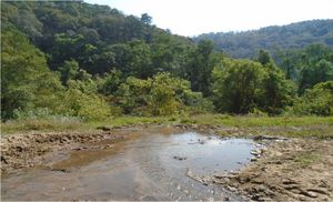 Terreno en venta en Temascaltepec.