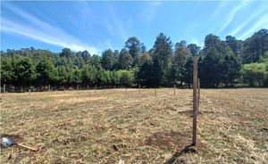 Terreno en venta en los Saucos, Valle de  Bravo.