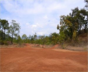 Terreno en venta en Temascaltepec.