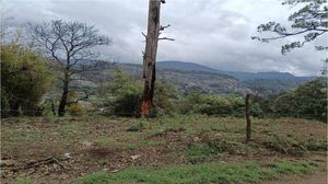 Terreno en Venta, en Valle de Bravo