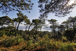 Terreno en venta con Vista al lago  en el Cerrillo