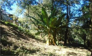 Terreno en venta en Valle de Bravo