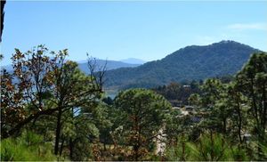 Terreno con vista al lago