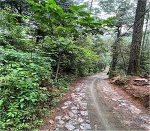 Terreno en venta en Cerro Gordo