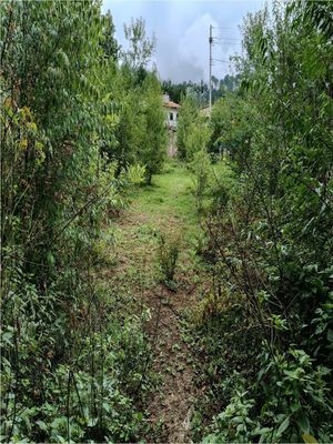 Terreno en Venta, en Valle de Bravo