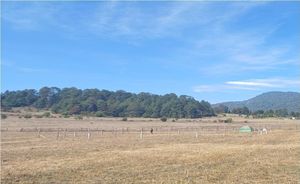 Terreno en venta en los Saucos, Valle de  Bravo.