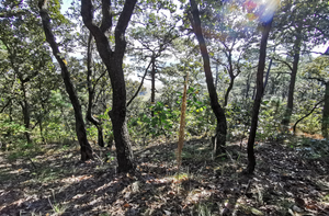 Terreno en venta con Vista al lago  en el Cerrillo