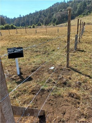 Terreno en venta en los Saucos, Valle de  Bravo.