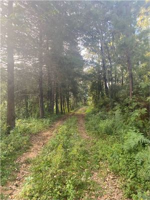 Terreno en venta en Valle de Bravo