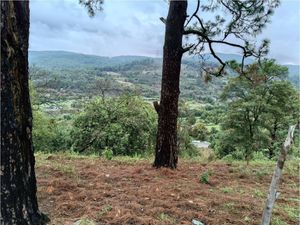 Terreno en Venta, en Valle de Bravo