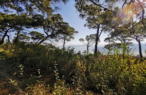 Terreno en venta con Vista al lago  en el Cerrillo