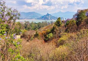 Terreno con vista al lago