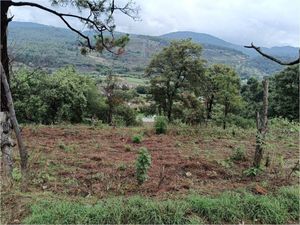 Terreno en Venta, en Valle de Bravo