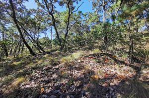 Terreno en venta con Vista al lago  en el Cerrillo