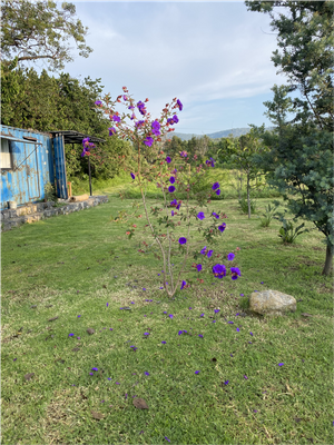 Terreno en venta en Valle de Bravo