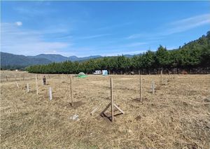 Terreno en venta en los Saucos, Valle de  Bravo.