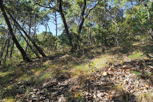 Terreno en venta con Vista al lago  en el Cerrillo