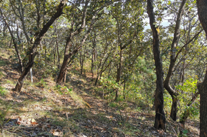 Terreno en venta con Vista al lago  en el Cerrillo