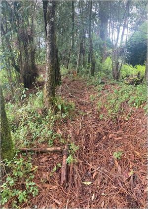 Terreno en venta en Valle de Bravo