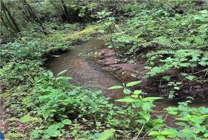 Terreno en venta en Cerro Gordo