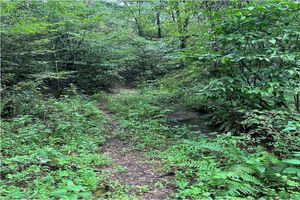 Terreno en venta en Cerro Gordo