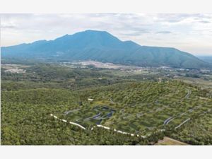 Terreno en Venta en La Colmena de Abajo Allende