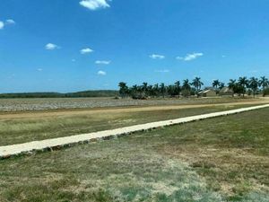 Terreno en Tekax 1,192 hectareas propiedad privada
