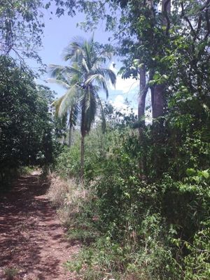 Rancho de cerca de Valladolid 280 hectareas en  propiedad privada