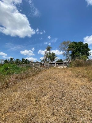 Rancho cerca de Merida propiedad privada  piscina alberca luz sobre carretera