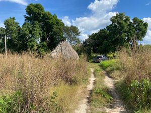 Rancho en Cantamayec 374 hectareas propiedad privada