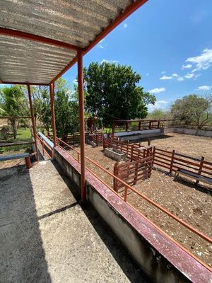 Rancho cerca de Merida Yucatan 45 hectareas propiedad privada con plaza de toros