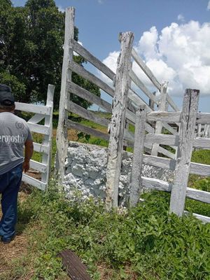 RANCHO DE 84 HECTÁREAS CERCA DE MÉRIDA Y TIZIMÍN, EN BUCTZOTZ, ZONA GANADERA