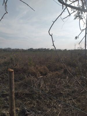 Rancho cerca de Merida Yucatan propiedad privada