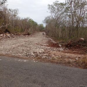 Terreno 122 hectáreas propiedad privada cerca de Valladolid Yucatan