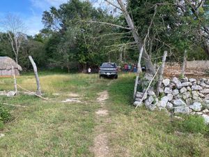 Rancho en Cantamayec de 259 hectareas propiedad privada sobre carretera