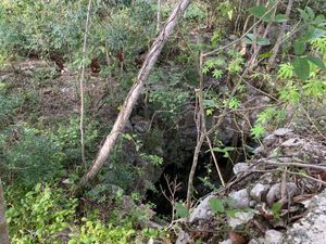 Rancho con cenotes y casa antigua en Sotuta de 489 hectareas propiedad con luz