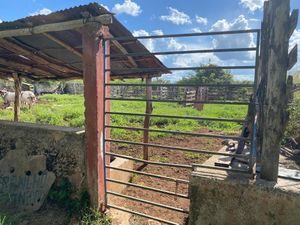 Rancho en Cantamayec 374 hectareas propiedad privada