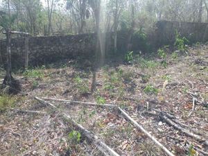 Rancho en Valladolid Yucatan 56 hectareas propiedad privada