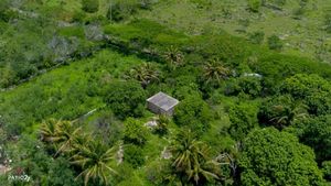 terreno cerca Izamal y tren Maya y Mérida Yucatán sobre carretera