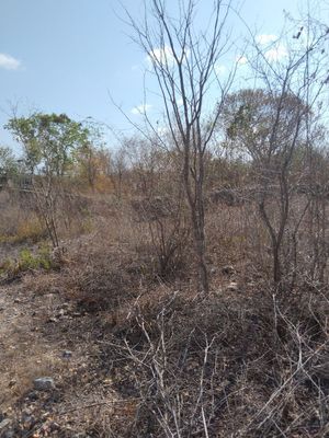 TERRENO DE 20 DE FRENTE X 80 DE LARGO CERCA DE MERIDA