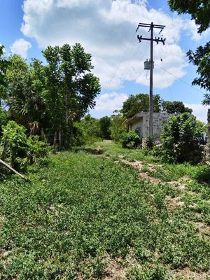 RANCHO CERCA DE TIZIMÍN, EN ESPITA YUCATÁN PUEBLO MÁGICO ORILLA DE CARRETERA